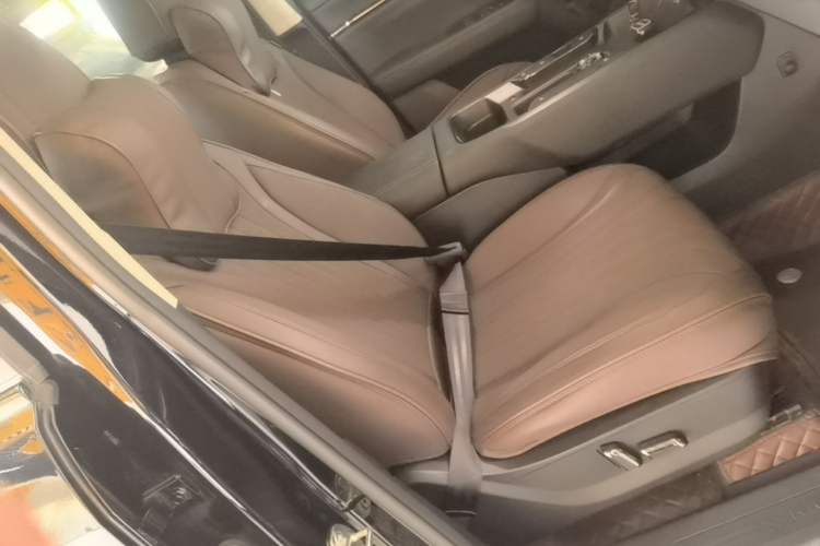 Used Haval H Dog New Energy 2026 Model Hi4 150km Trendy Electric Edition Right Front Seat