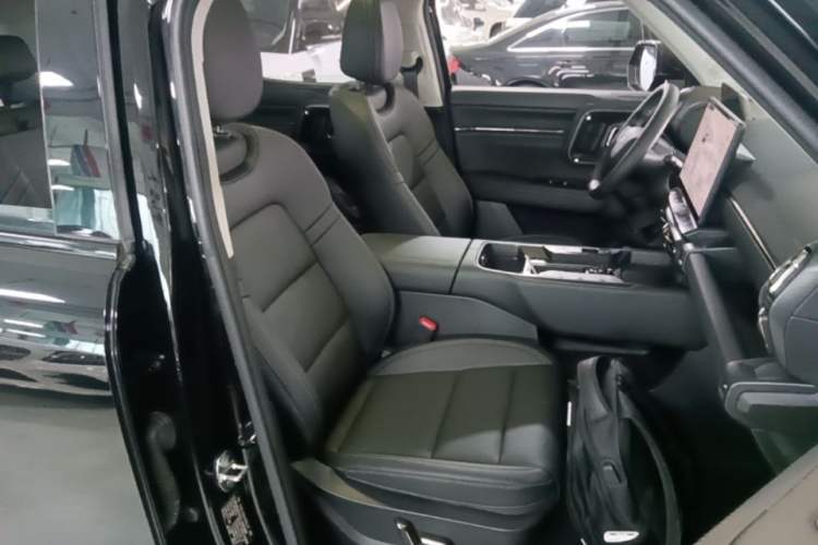 Used Haval H Dog New Energy 2026 Model Hi4 150km Trendy Electric Edition Right Front Seat