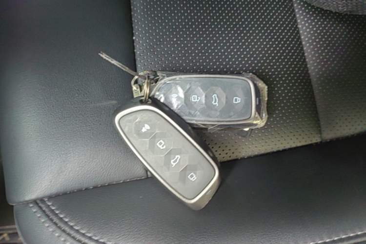 Used Haval H Dog New Energy 2026 Model Hi4 150km Trendy Electric Edition Vehicle Key