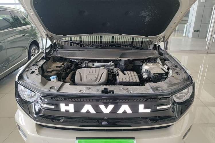 Used Haval H Dog New Energy 2026 Model Hi4 150km Trendy Electric Edition Engine Bay