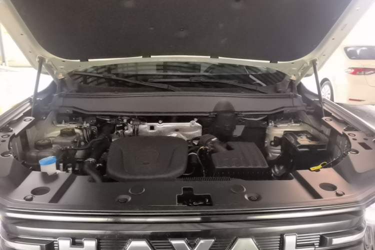 Used Haval H Dog New Energy 2026 Model Hi4 150km Trendy Electric Edition Engine Bay