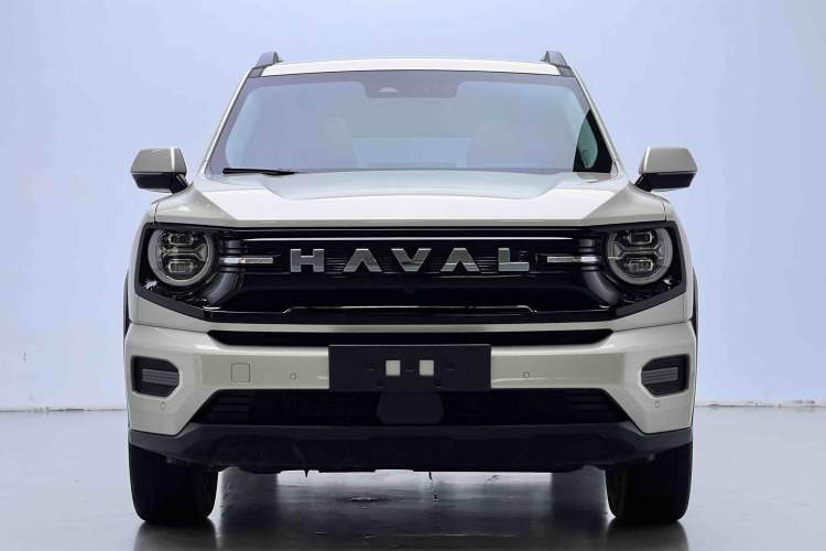 Used Haval H Dog New Energy 2026 Model Hi4 150km Trendy Electric Edition Exterior 1