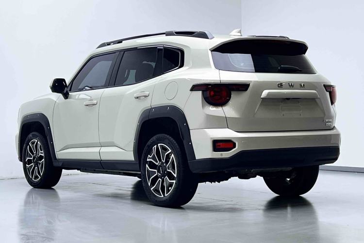 Used Haval H Dog New Energy 2026 Model Hi4 150km Trendy Electric Edition Exterior 3