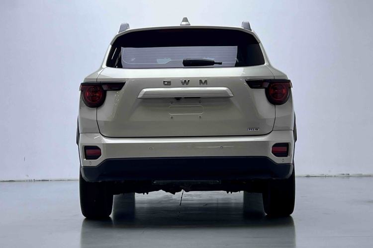 Used Haval H Dog New Energy 2026 Model Hi4 150km Trendy Electric Edition Exterior 4
