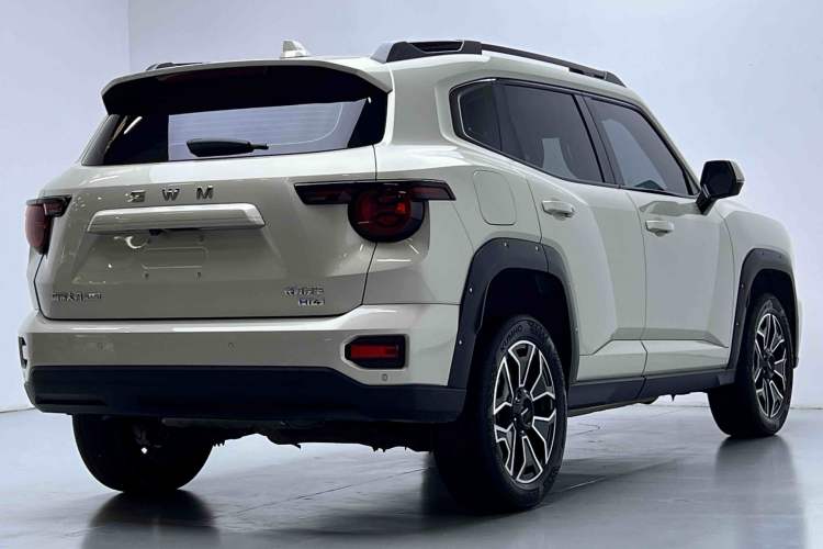 Used Haval H Dog New Energy 2026 Model Hi4 150km Trendy Electric Edition Exterior 5