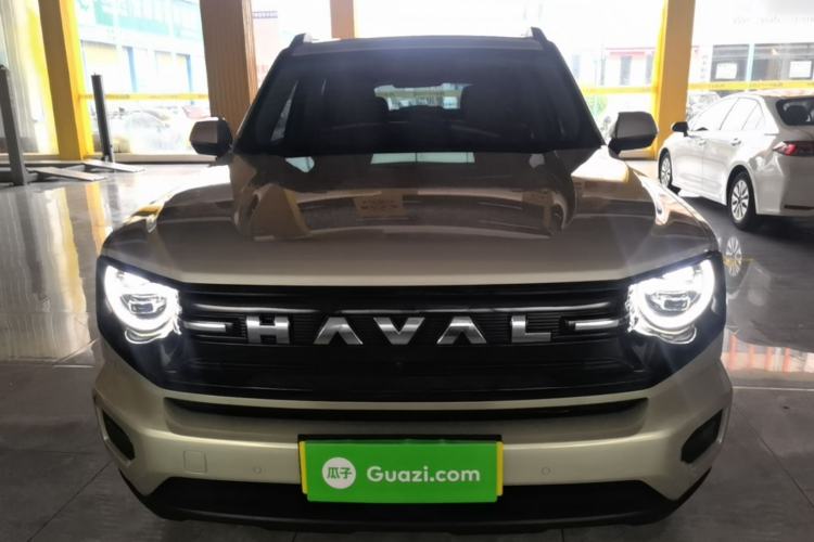 Used Haval H Dog New Energy 2026 Model Hi4 150km Trendy Electric Edition Front