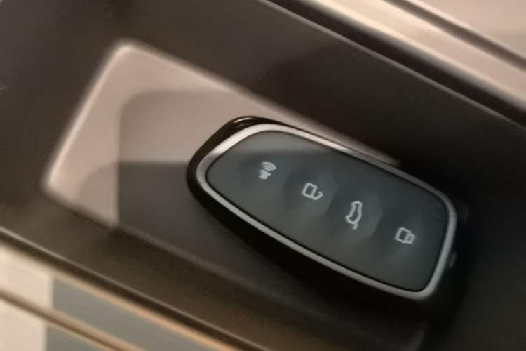 Used Haval H Dog New Energy 2026 Model Hi4 150km Trendy Electric Edition Interior 1