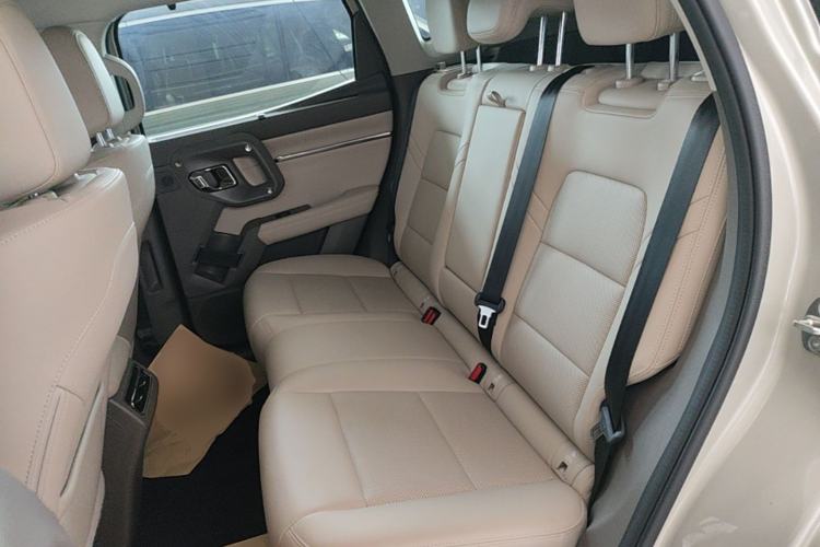 Used Haval H Dog New Energy 2026 Model Hi4 150km Trendy Electric Edition Left Rear Seat