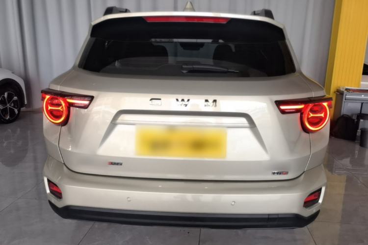 Used Haval H Dog New Energy 2026 Model Hi4 150km Trendy Electric Edition Rear