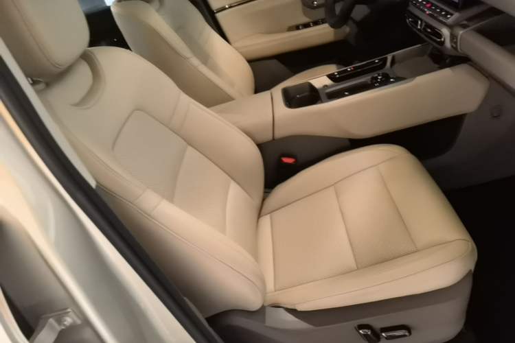 Used Haval H Dog New Energy 2026 Model Hi4 150km Trendy Electric Edition Right Front Seat