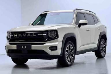 Used Haval H Dog New Energy 2026 Model Hi4 150km Trendy Electric Edition