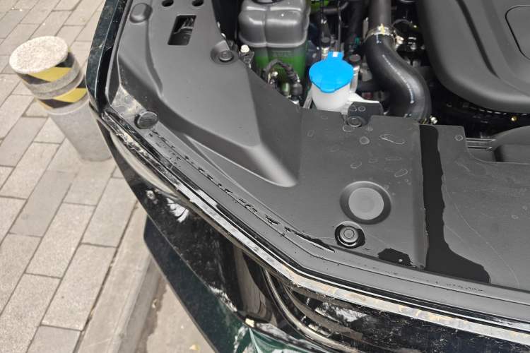 Used Haval H Dog New Energy 2026 Model Hi4 150km Trendy Electric Edition Engine Bay Right
