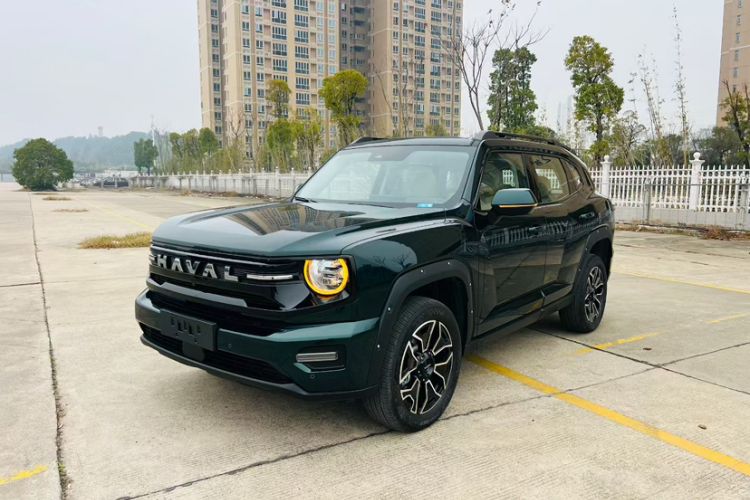 Used Haval H Dog New Energy 2026 Model Hi4 105km Trendy Electric Edition Exterior 2