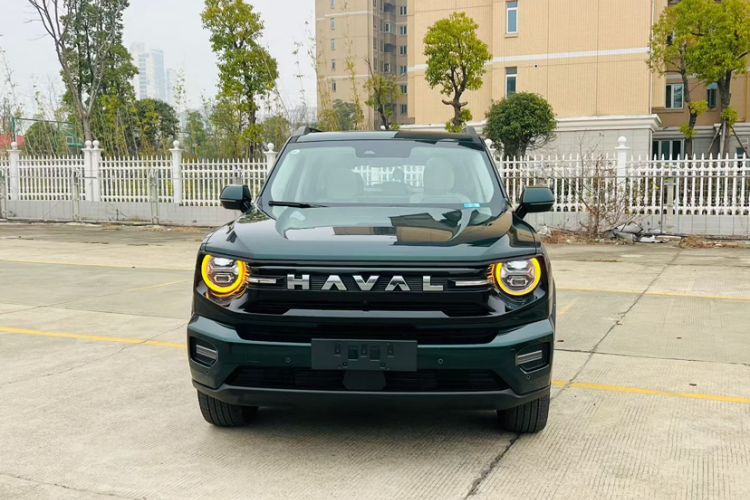 Used Haval H Dog New Energy 2026 Model Hi4 105km Trendy Electric Edition Exterior 3
