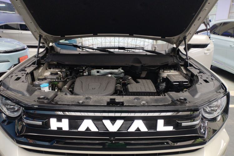 Used Haval H Dog New Energy 2026 Model Hi4 150km Trendy Electric Edition Engine Bay