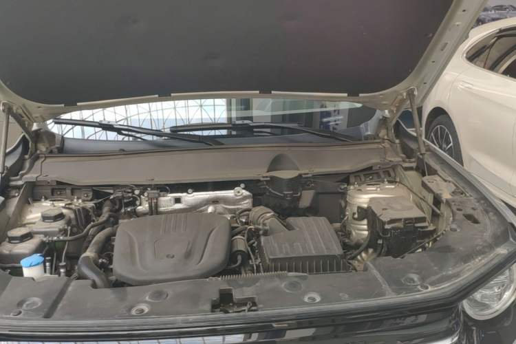 Used Haval H Dog New Energy 2026 Model Hi4 150km Trendy Electric Edition Engine Bay