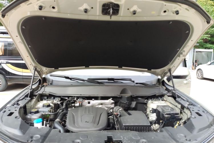 Used Haval H Dog New Energy 2026 Model Hi4 150km Trendy Electric Edition Engine Bay
