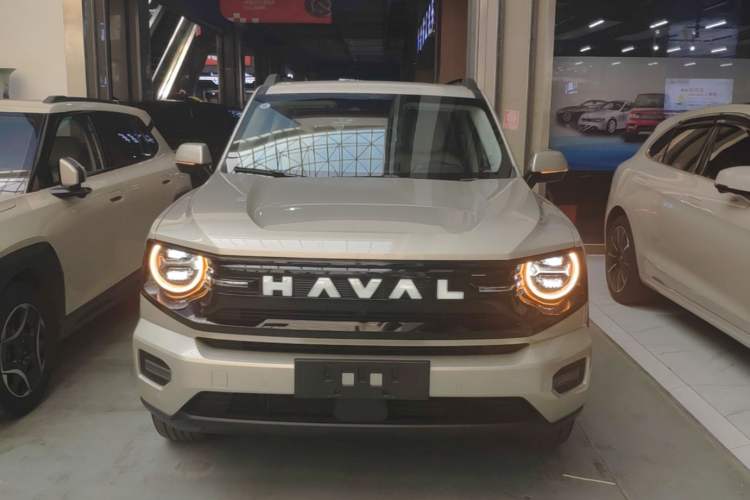 Used Haval H Dog New Energy 2026 Model Hi4 150km Trendy Electric Edition Front