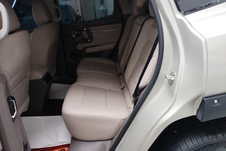 Used Haval H Dog New Energy 2026 Model Hi4 150km Trendy Electric Edition Left Rear Seat