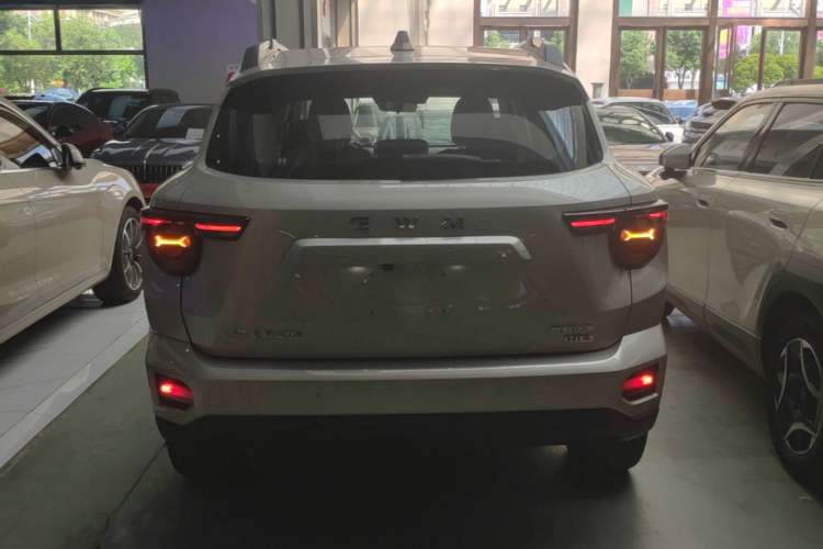 Used Haval H Dog New Energy 2026 Model Hi4 150km Trendy Electric Edition Rear