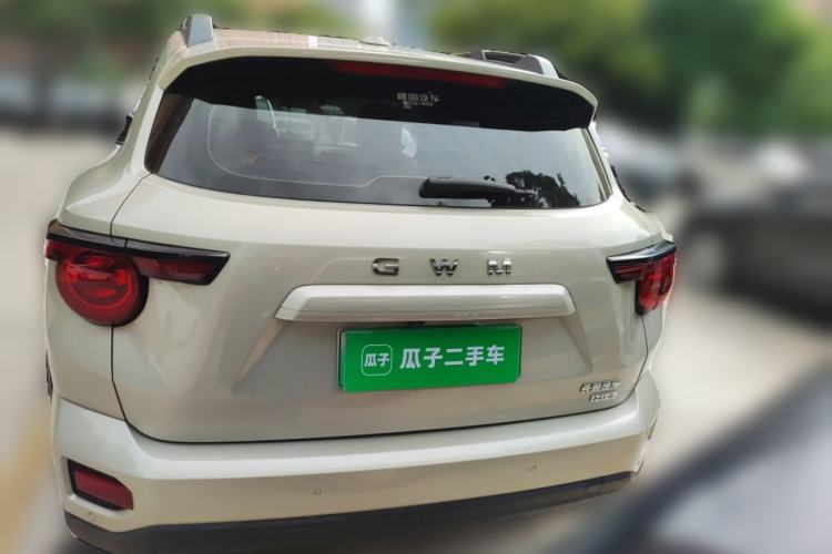 Used Haval H Dog New Energy 2026 Model Hi4 150km Trendy Electric Edition Rear