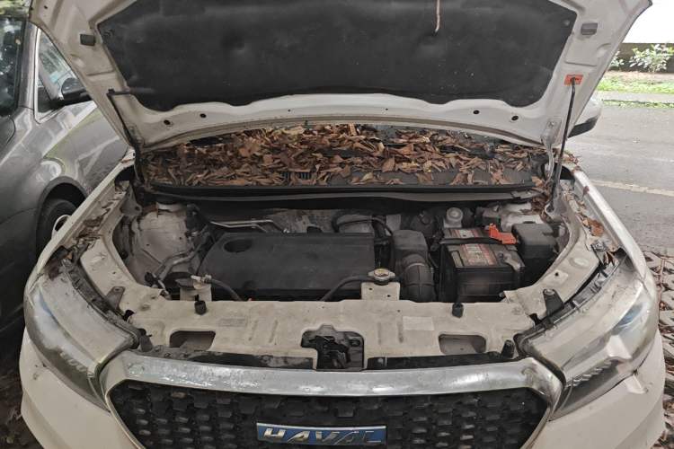 Used Haval H1 2016 Revised Version Blue Badge 1.5L AMT Luxury Edition Engine Bay