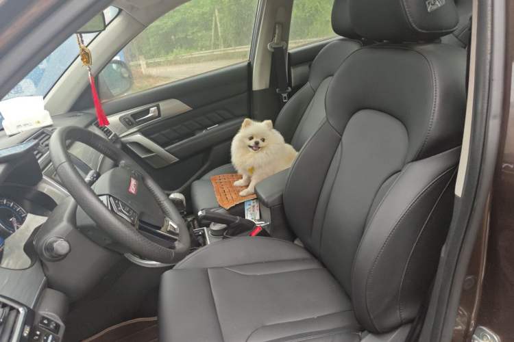 Used Haval H2 2014 1.5T Manual Two-Wheel Drive Elite Edition Left Front Seat