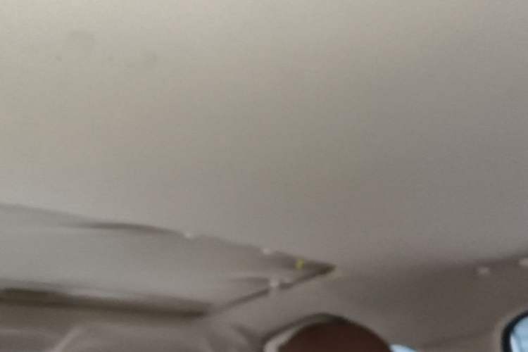 Used Haval H2 2014 1.5T Manual Two-Wheel Drive Elite Edition Headliner