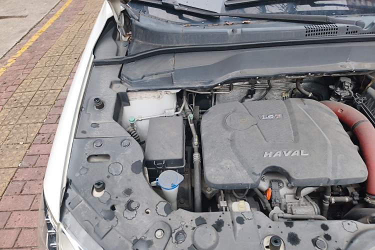 Used Haval H2 2016 Red-Label 1.5T Manual Two-Wheel Drive Luxury Model Engine Bay Right