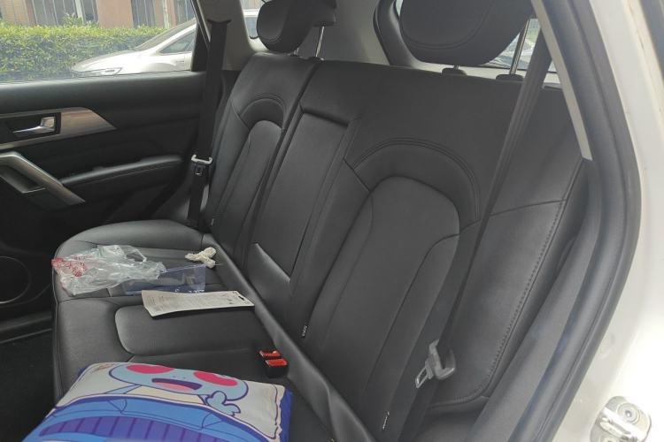 Used Haval H2 2017 Blue Label 1.5T Automatic Two-Wheel Drive Luxury Model Left Rear Seat