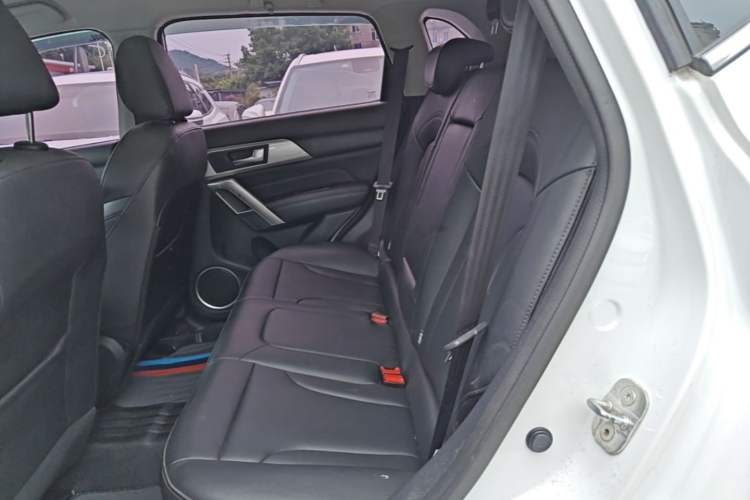 Used Haval H2 2018 Red-Label 1.5T Dual-Clutch Two-Wheel-Drive Luxury Model Left Rear Seat