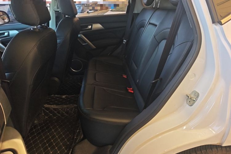 Used Haval H2 2018 Blue-Label 1.5T Dual-Clutch Two-Wheel-Drive Luxury Model Left Rear Seat