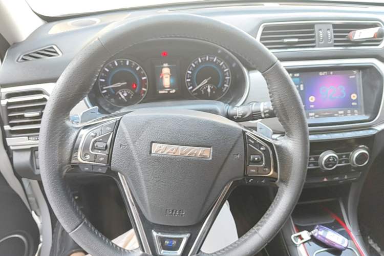 Used Haval H2 2018 Blue-Label 1.5T Dual-Clutch Two-Wheel-Drive Luxury Model Steering Wheel