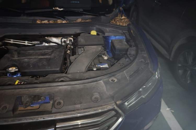 Used Haval H2s 2017 Blue Label 1.5T Dual-Clutch Comfort Model Engine Bay Left