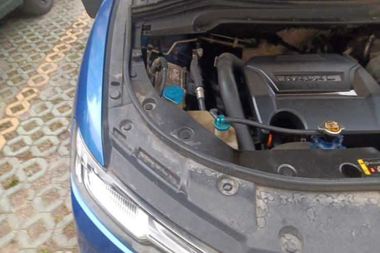 Used Haval H2s 2017 Blue Label 1.5T Dual-Clutch Elite Model Engine Bay Right
