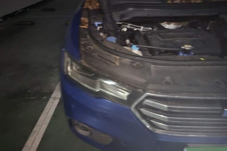 Used Haval H2s 2017 Blue Label 1.5T Dual-Clutch Comfort Model Right Front Headlight