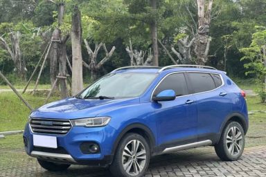 Used Haval H2s 2017 Blue Label 1.5T Dual-Clutch Luxury Model