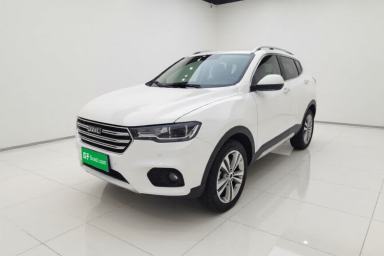 Used Haval H2s 2017 Blue Label 1.5T Dual-Clutch Luxury Model