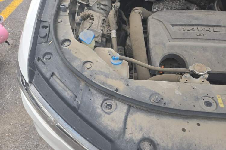Used Haval H2s 2017 Blue Label 1.5T Manual Comfort Edition Engine Bay Right