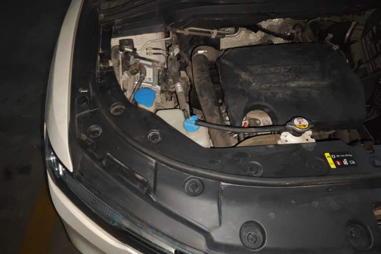 Used Haval H2s 2017 Blue Label 1.5T Dual-Clutch Elite Model Engine Bay Right