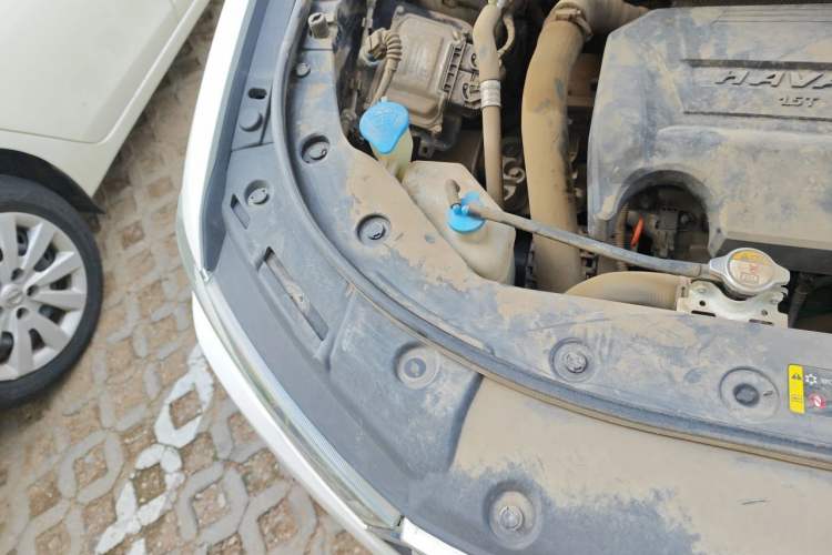 Used Haval H2s 2017 Blue Label 1.5T Dual-Clutch Elite Model Engine Bay Right