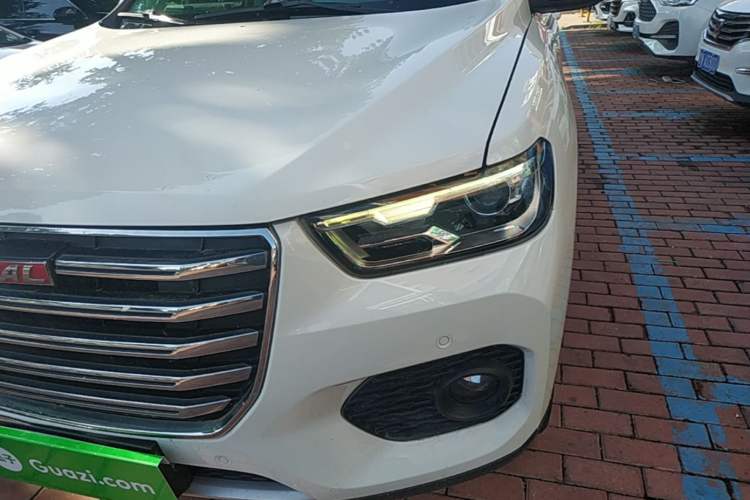 Used Haval H2s 2017 Red-Label 1.5T Dual-Clutch Luxury Model Left Front Headlight