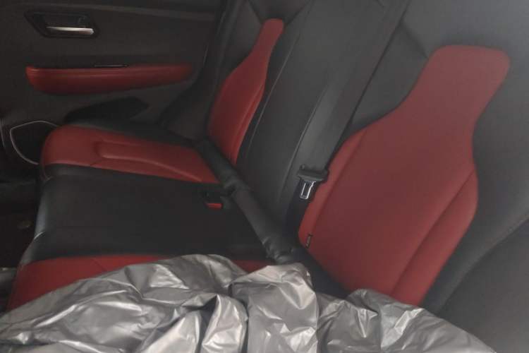 Used Haval H2s 2017 Blue Label 1.5T Dual-Clutch Elite Model Left Rear Seat