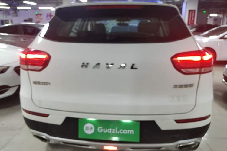 Used Haval H2s 2017 Red-Label 1.5T Dual-Clutch Comfort Model Rear
