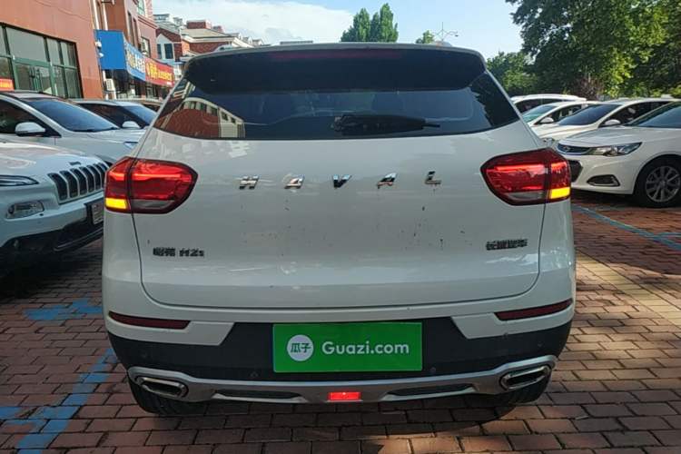Used Haval H2s 2017 Red-Label 1.5T Dual-Clutch Luxury Model Rear