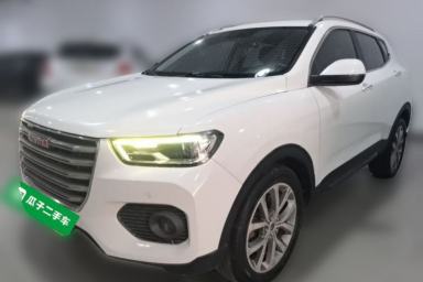 Used Haval H2s 2017 Red-Label 1.5T Dual-Clutch Luxury Model