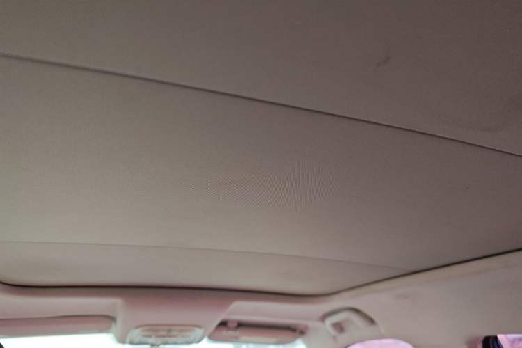 Used Haval H2s 2018 Red-Label 1.5T Dual-Clutch Elite Model Headliner