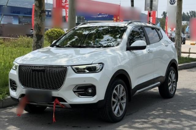Used Haval H2s 2018 Red-Label 1.5T Dual-Clutch Luxury Model