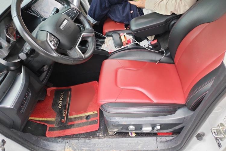 Used Haval H2s 2018 Red-Label 1.5T Dual-Clutch ZhiShang Model Left Front Seat