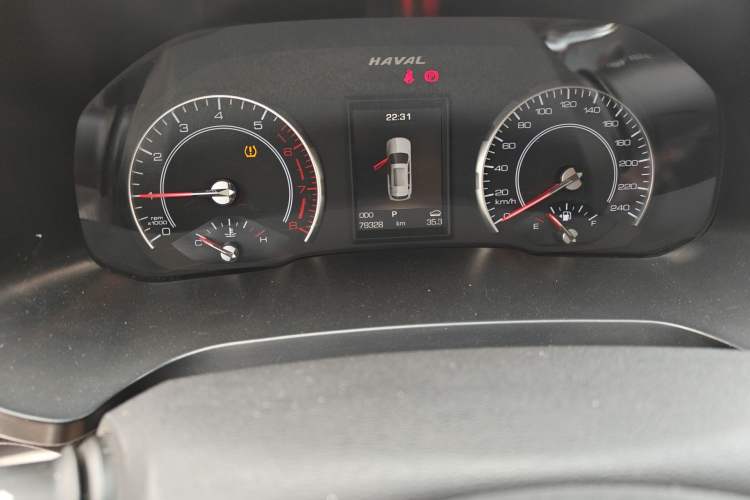 Used Haval H2s 2018 Red-Label 1.5T Dual-Clutch Elite Model Odometer Close Up